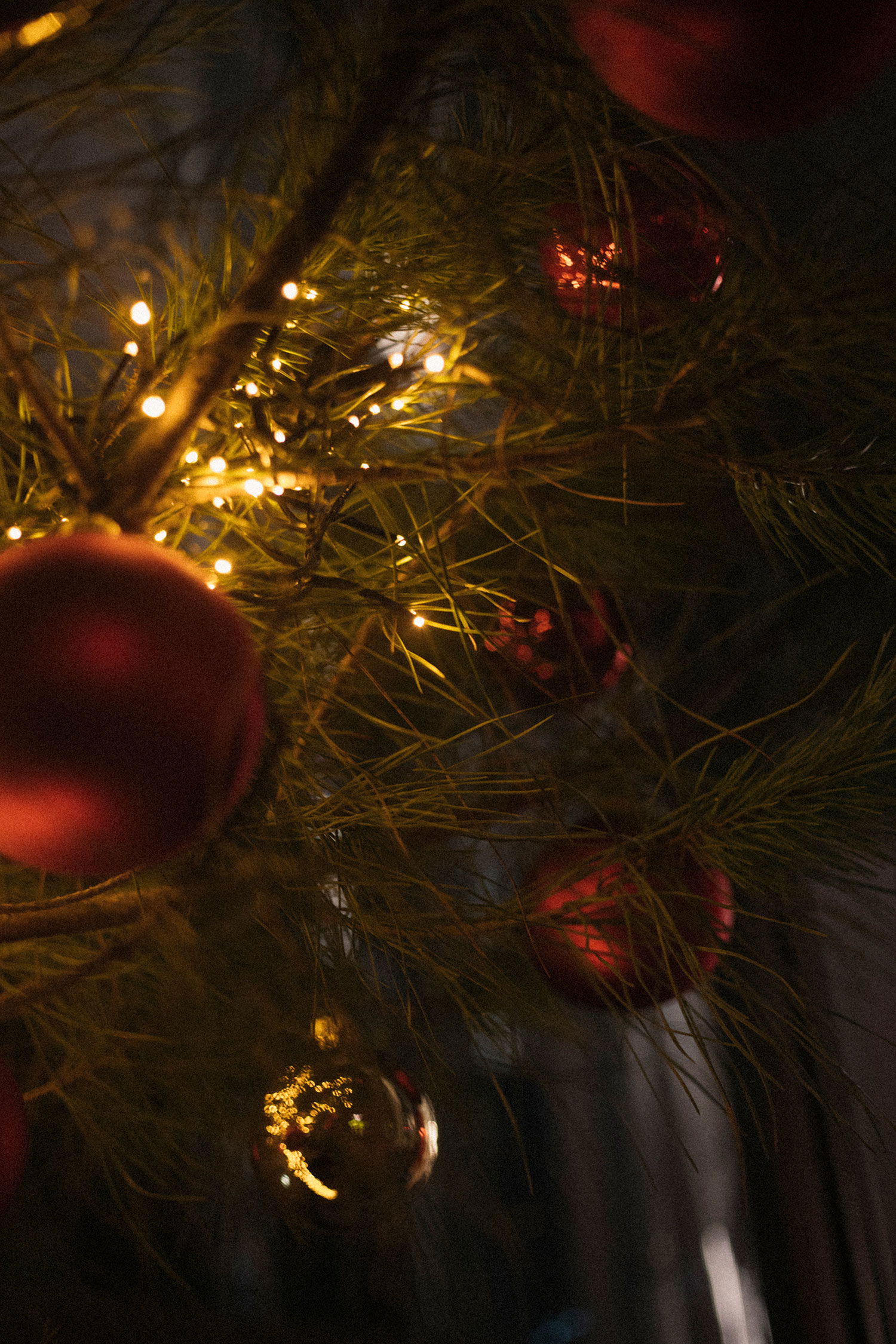 Feliz Navidad from us all at Antares