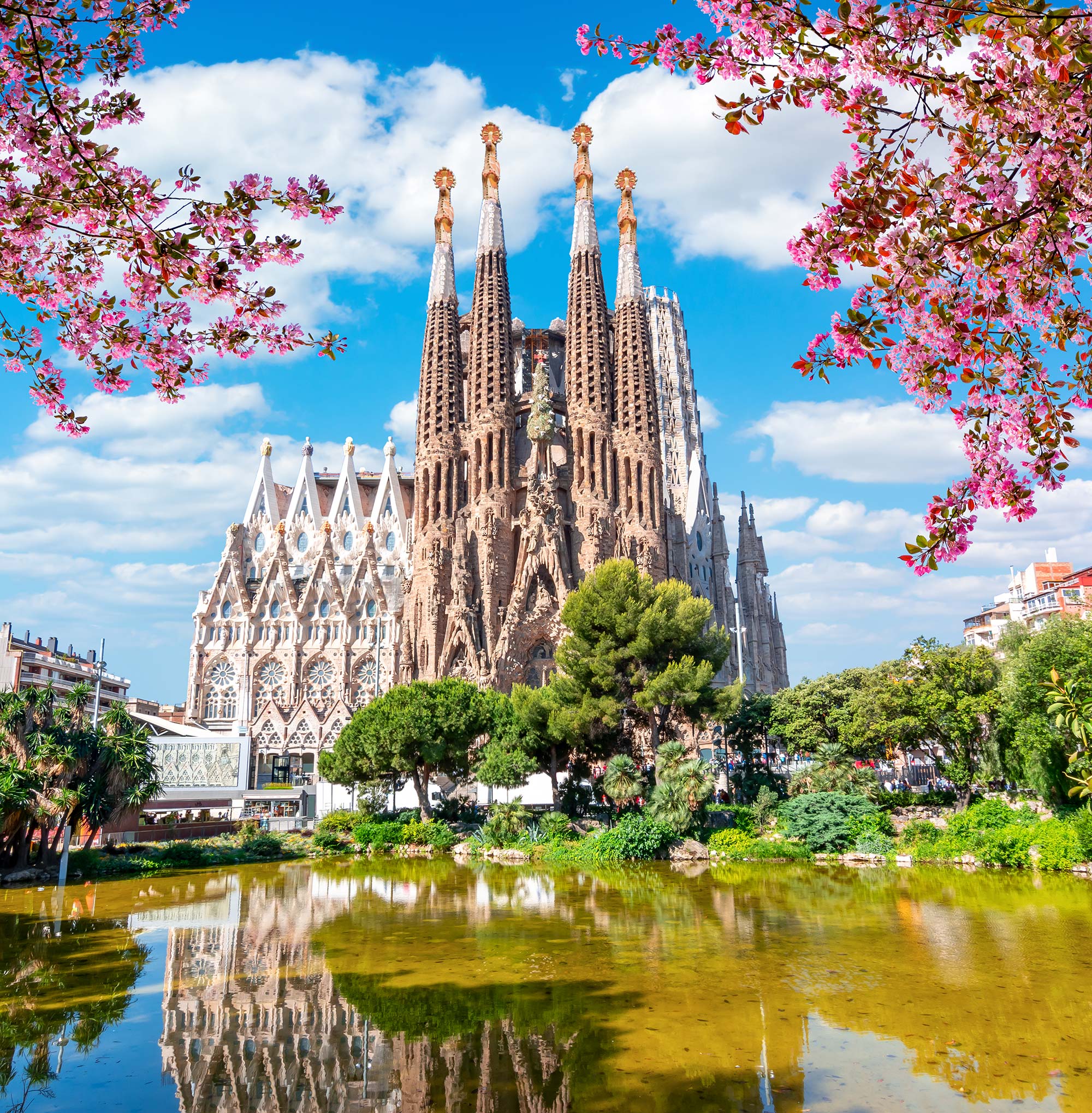 The creative vitality of both Barcelona and Antares